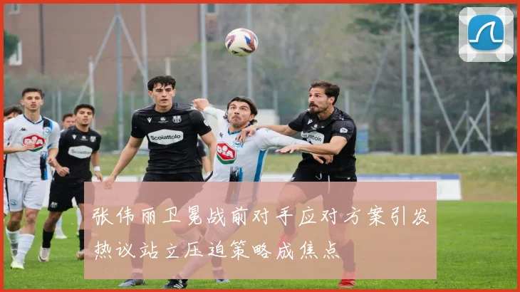 张伟丽卫冕战前对手应对方案引发热议站立压迫策略成焦点